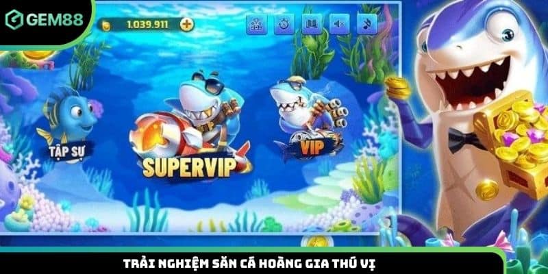 Trải nghiệm săn cá Hoàng Gia thú vị